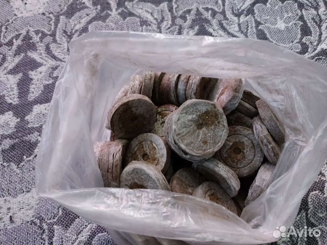 Удобрения для комнатных растений