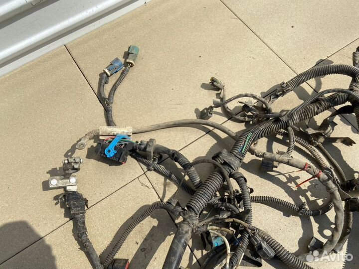 Проводка двигателя Ford Focus 2