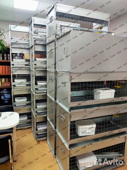 Птицеферма на 500 бройлеров