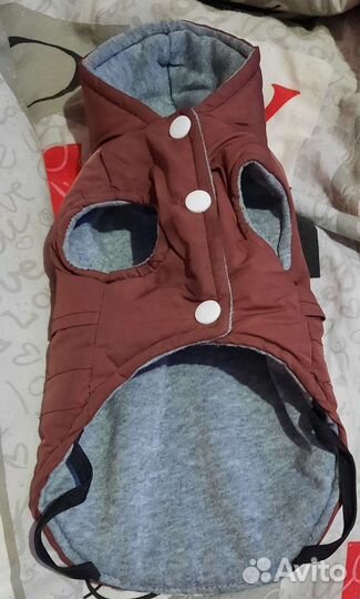 Одежда для маленьких собак