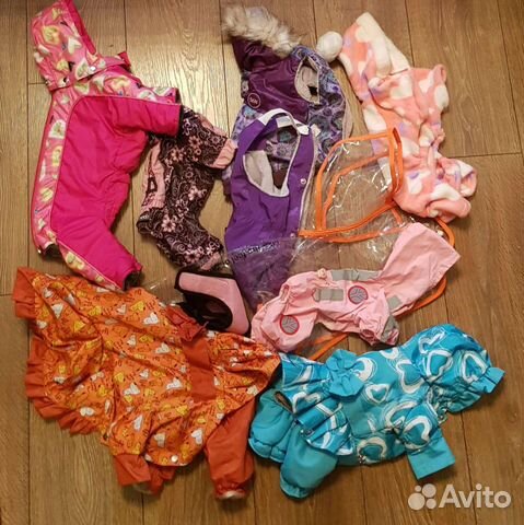 Одежда для собак