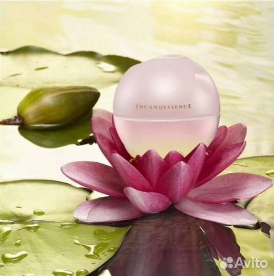 Avon по закупке Эйвон