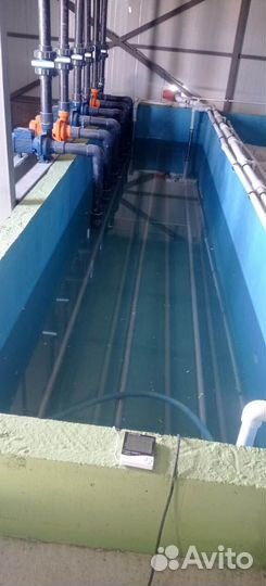 Узв для выращивания рыбы промышленное под ключ
