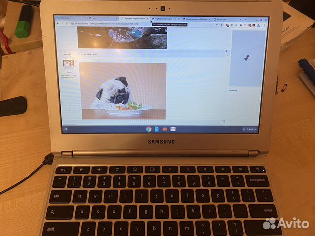 Samsung chromebook XE303C12 с кейсом купить в Москве | Электроника | Авито