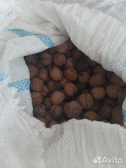 Орех грецкий
