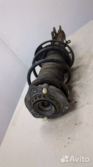 Амортизатор подвески левый передний Chevrolet Camaro