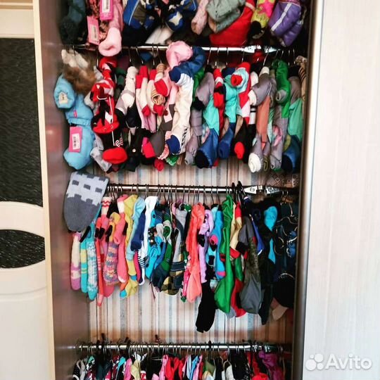 Одежда для собак