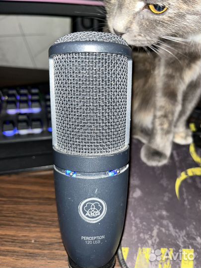 Студийный микрофон AKG Perception 120 USB