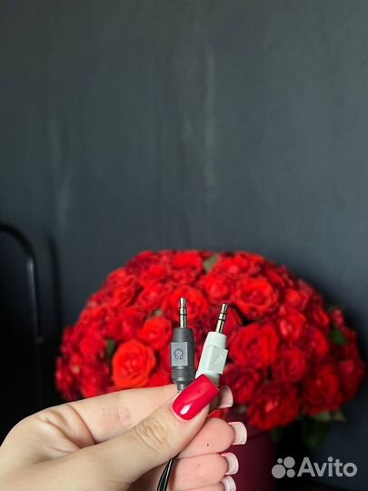 Наушники проводные philips SHM 1900