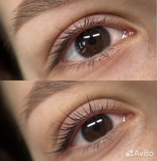 Мастер бровист