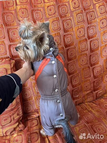 Комбинезон зимний для собак новый