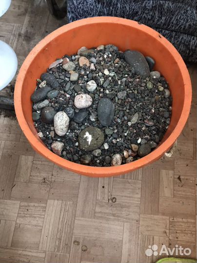 Грунт для аквариума