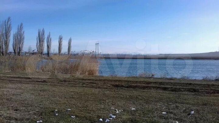 Участок 6 га (СНТ, ДНП)