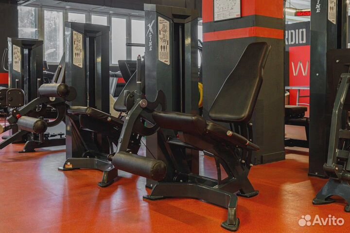 XR107 разгибатель бедра X-line R