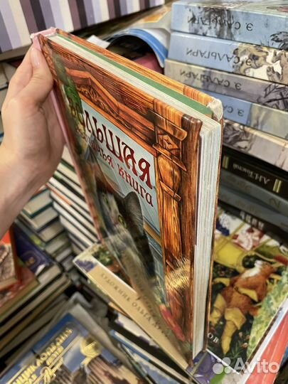 Большая кошачья книга