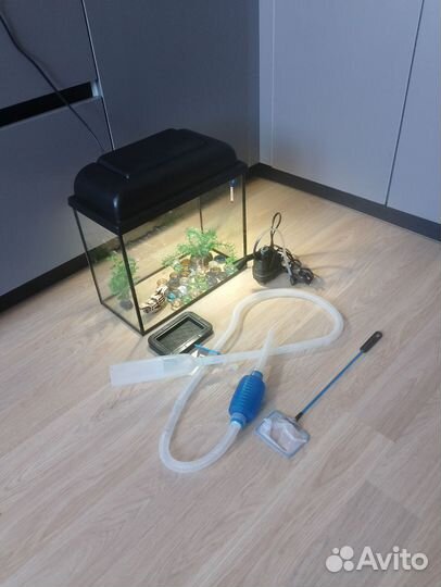 Аквариум