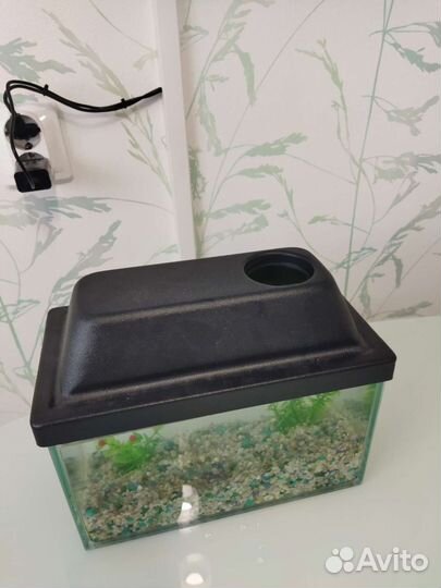 Аквариум
