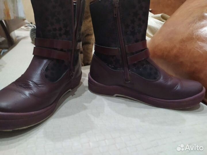 Сапоги детские, демисезонные