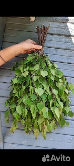 Веники для бани