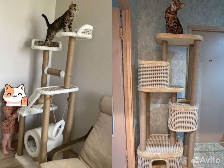 Когтеточка домик для кошки