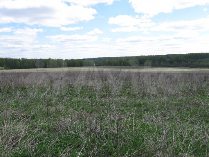 Участок 5,18 га (СНТ, ДНП)