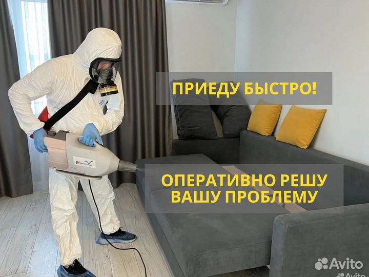 Дезинфекция,дезинсекция клопов, тараканов, клещей