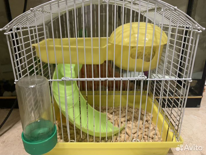 Клетка и хомяк