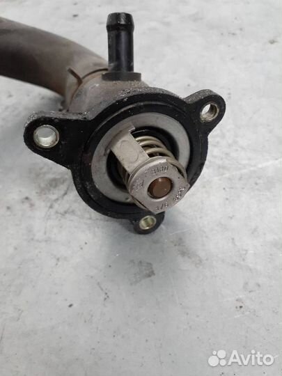 Термостат Renault Kangoo рест. 2005 8200244237