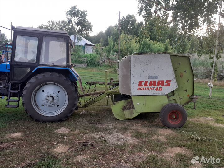 Сено зеленое