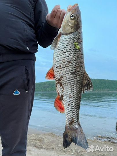 База отдыха