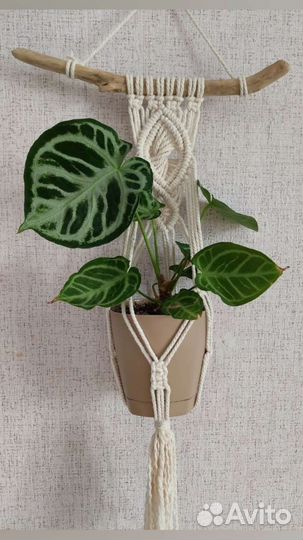 Настенное кашпо подвесное макраме для цветов