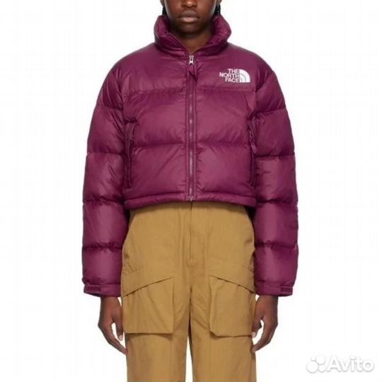 THE north face Nuptse Jacket Women's Plum (M)(44)