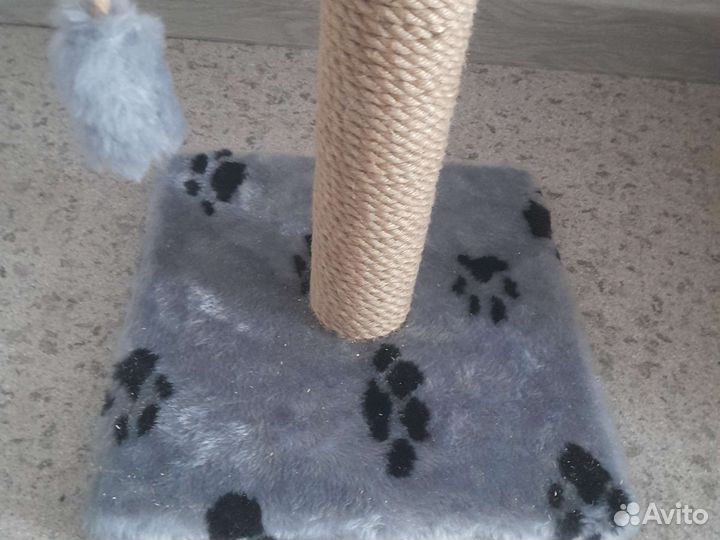 Когтеточка