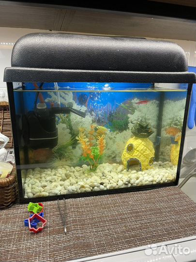 Аквариум 10 литров с подсветкой