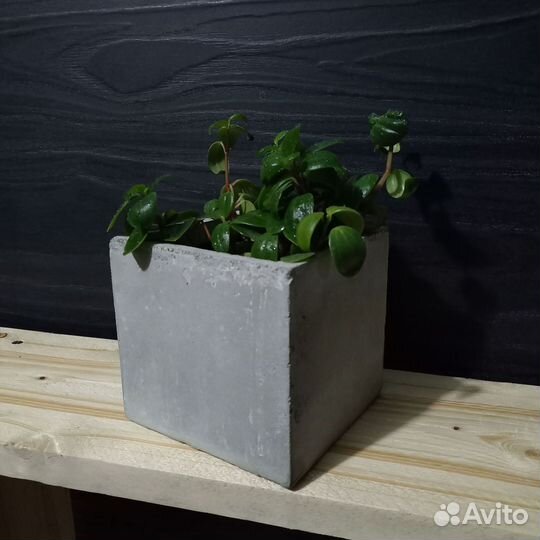 Вазоны, Горшки, Кашпо под заказ из бетона арт 140