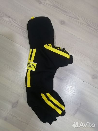 Одежда для собак