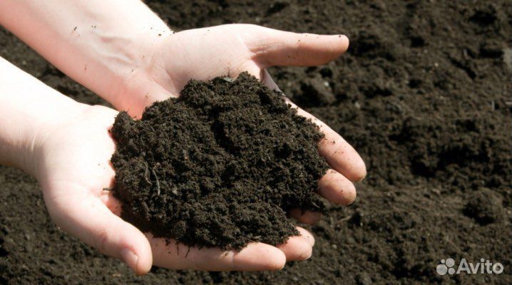 Чернозем, Торф (Артикул 111)