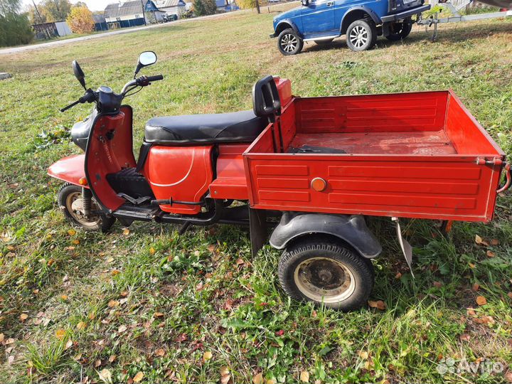 Продаю муравей