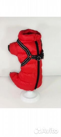 Комбинезон для собак мелких пород