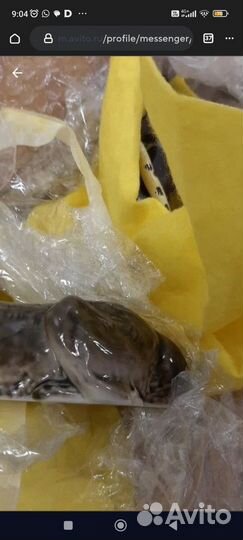 Фарфоровые статуэтки