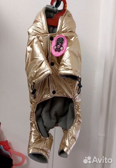 Одежда для собак