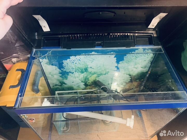 Аквариум