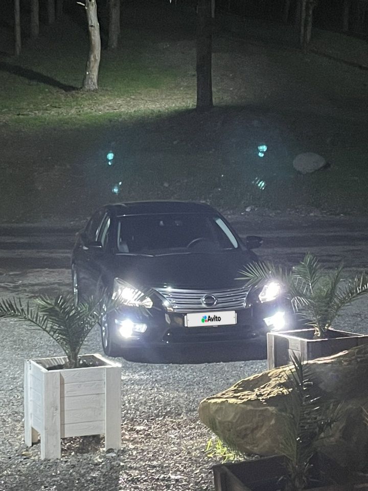 Nissan Teana: фото владельца