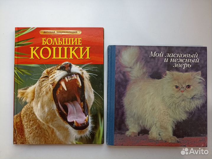 Книги о кошках