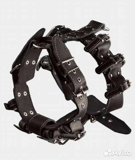 Шлейка с грузами для собак