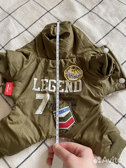 Одежда для собак