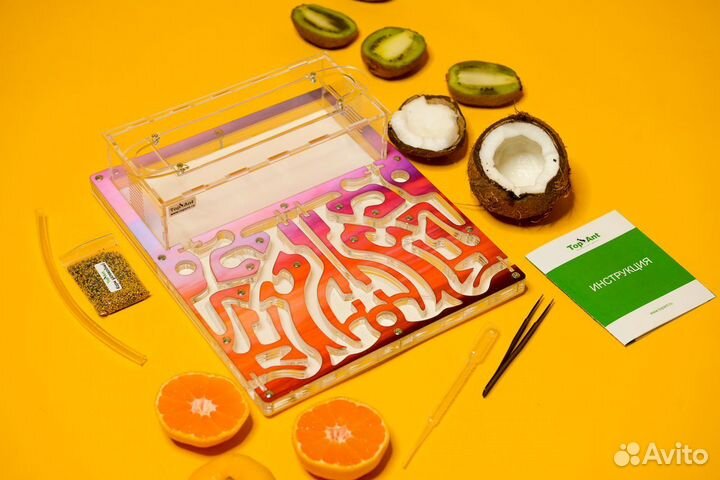 Формикарий / Муравьиная ферма