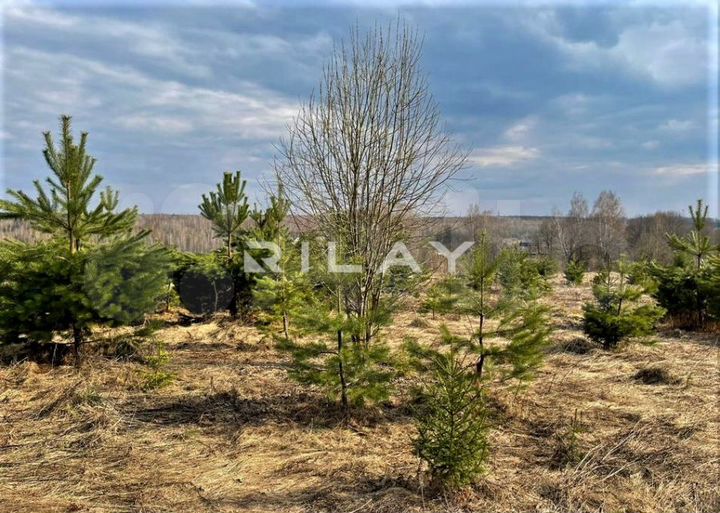 Участок 4,42 га (ИЖС)