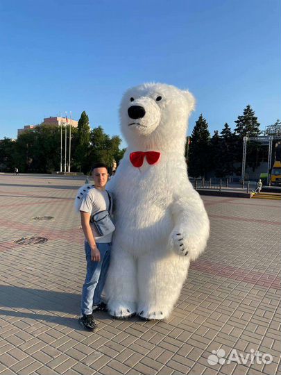 Белый Мишка поздравление на праздник 2.6м