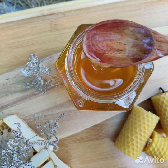 Мед Акации сбор 2023